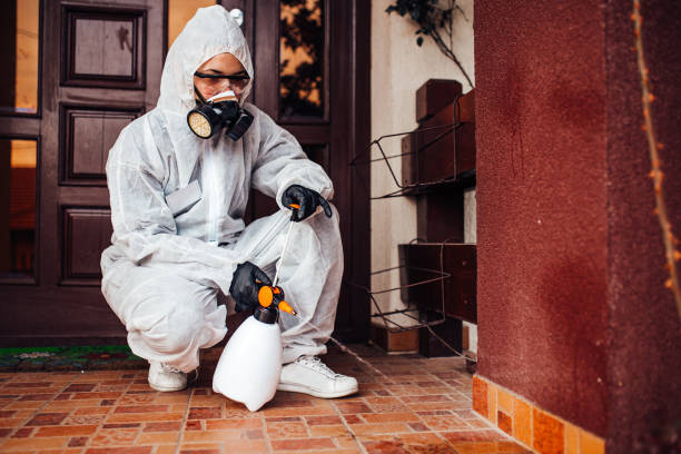Attic and Crawl Space Rodent Treatment in Halawa